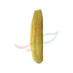 Loofah Naturel
